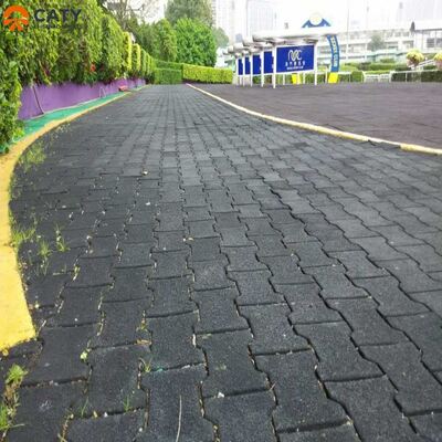 Εύκολη Εγκατάσταση και Αντιολισθητικές Ελαστικές Πλάκες Σχήματος Κόκαλου για Υπαίθριους Διαδρόμους και Διαδρομές Γυμναστικής